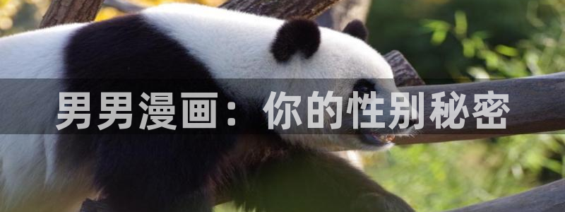 喵趣漫画无删减版