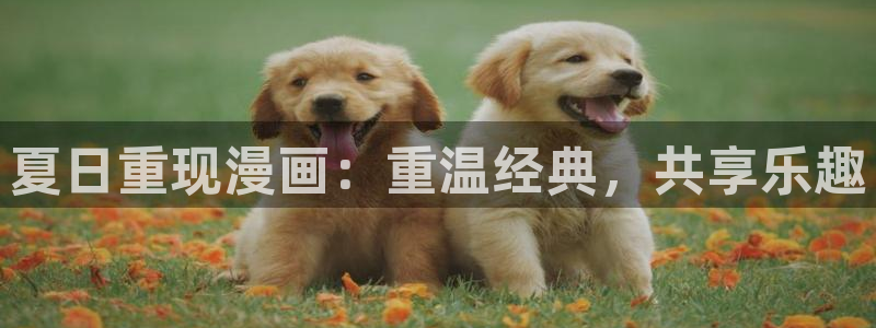 ios喵趣漫画下载