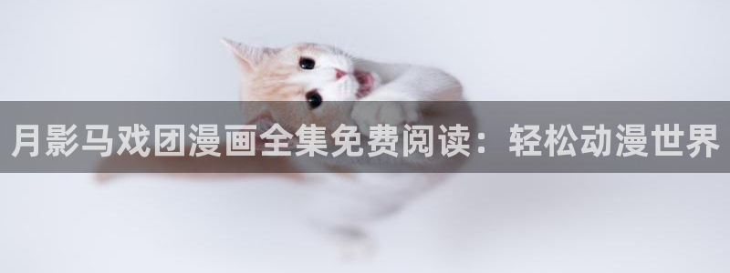 喵趣漫画免费阅读网页